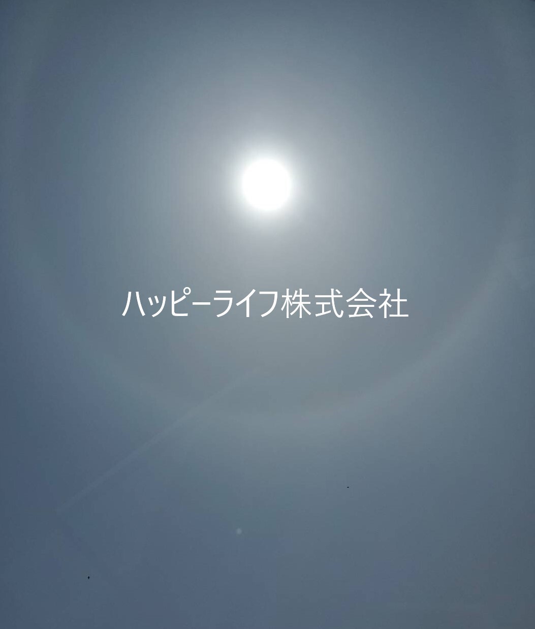 ハッピーライフ株式会社
